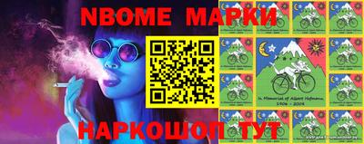 крисы Моздок