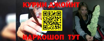 крисы Моздок