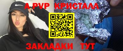 крисы Моздок