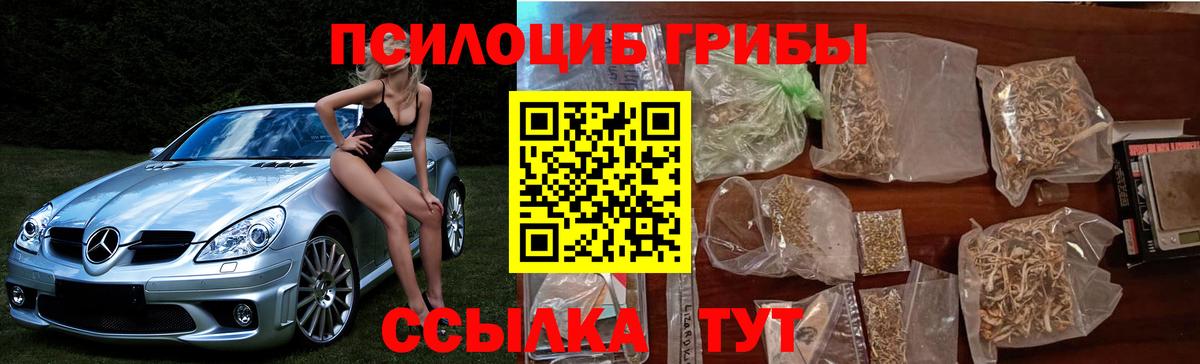 Псилоцибиновые грибы прущие грибы  Вход с VPN  купить наркотик  Учалы  Псилоцибиновые грибы мухоморы 